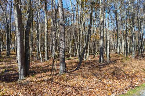 181 E Alpine Drive Terra Alta WV 26764