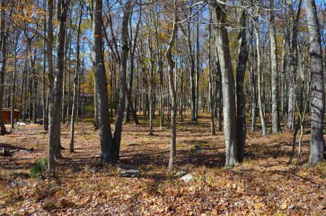 181 E Alpine Drive Terra Alta WV 26764