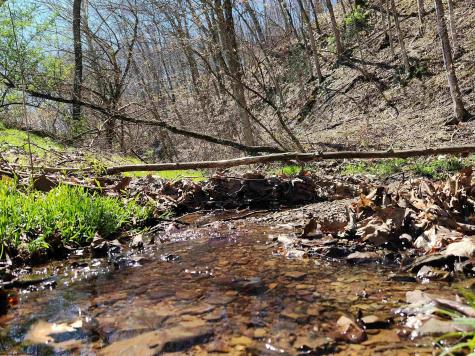 3796 Beverly Pike Elkins WV 26241