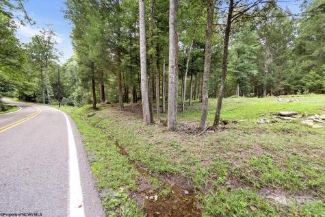 10455 Alexander Road French Creek WV 26218
