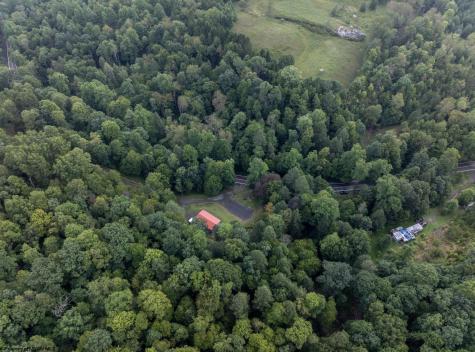 10455 Alexander Road French Creek WV 26218