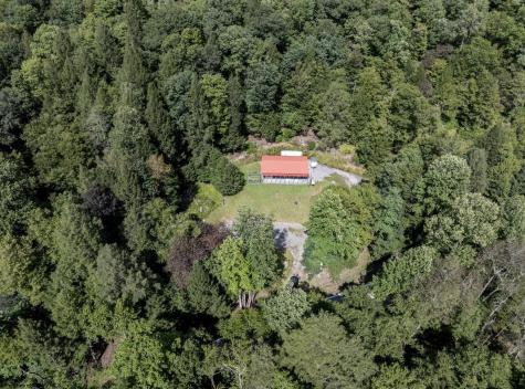 10455 Alexander Road French Creek WV 26218