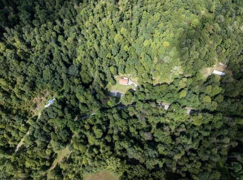 10455 Alexander Road French Creek WV 26218
