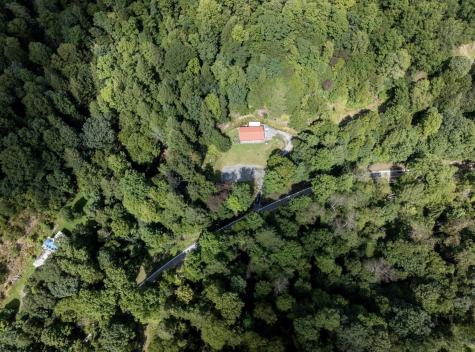 10455 Alexander Road French Creek WV 26218