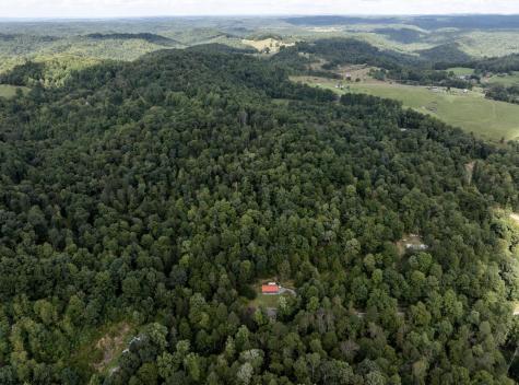 10455 Alexander Road French Creek WV 26218