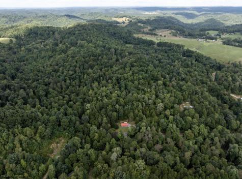 10455 Alexander Road French Creek WV 26218