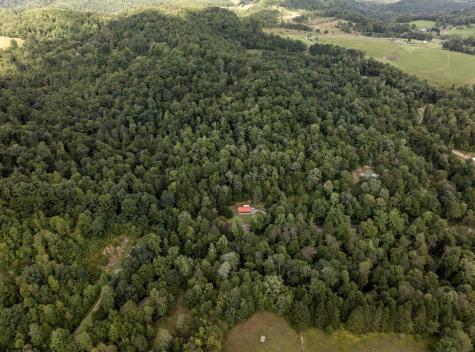 10455 Alexander Road French Creek WV 26218
