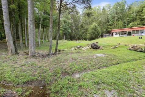 10455 Alexander Road French Creek WV 26218