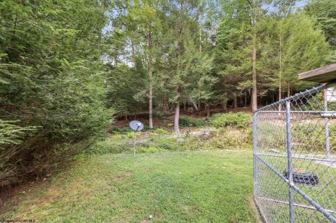 10455 Alexander Road French Creek WV 26218