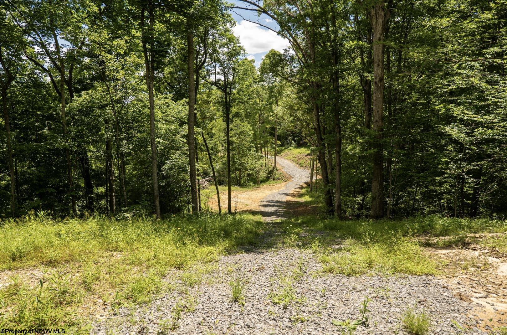 21 Lake Island Drive Belington WV 26250