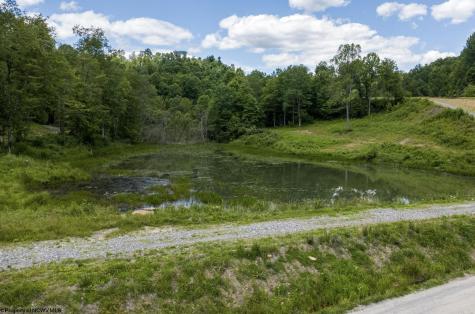 21 Lake Island Drive Belington WV 26250