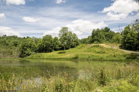 21 Lake Island Drive Belington WV 26250