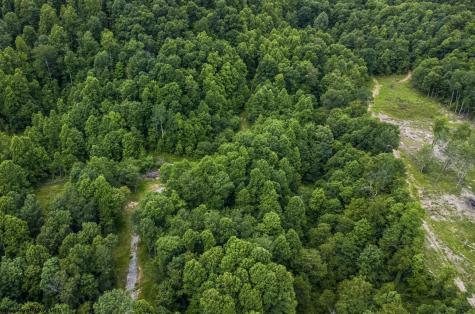 21 Lake Island Drive Belington WV 26250