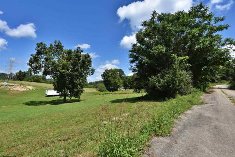 44 Carlson Drive Grafton WV 26354