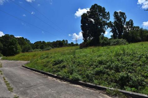 44 Carlson Drive Grafton WV 26354