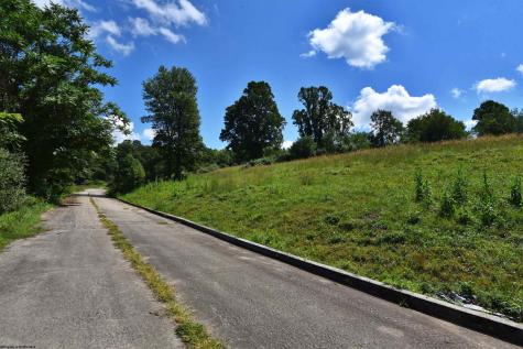 44 Carlson Drive Grafton WV 26354