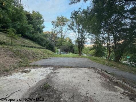 1672 Milford Street Clarksburg WV 26301-5600