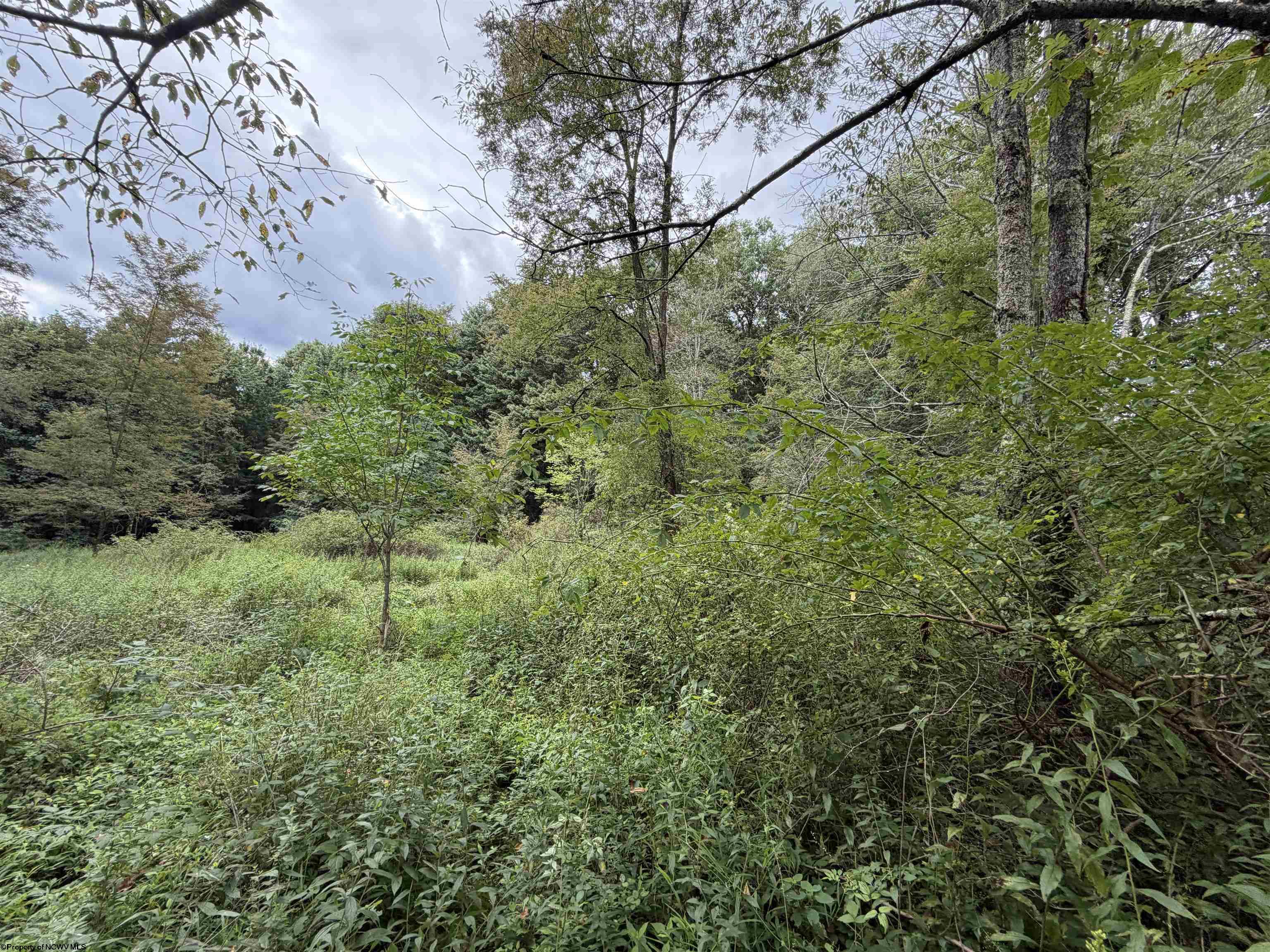 17366 Veterans Memorial Highway Kingwood WV 26537