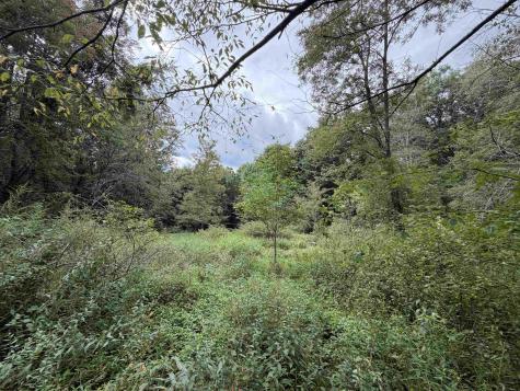 17366 Veterans Memorial Highway Kingwood WV 26537