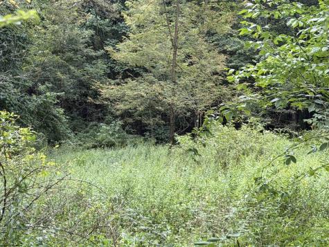 17366 Veterans Memorial Highway Kingwood WV 26537