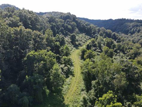 0 Hog Camp Road Jane Lew WV 26378