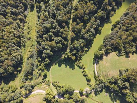 0 Hog Camp Road Jane Lew WV 26378