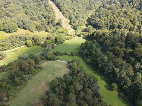 0 Hog Camp Road Jane Lew WV 26378