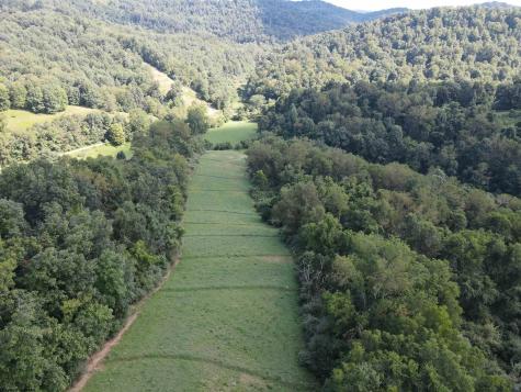 0 Hog Camp Road Jane Lew WV 26378