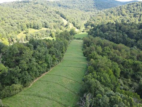 0 Hog Camp Road Jane Lew WV 26378