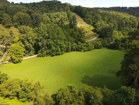 0 Hog Camp Road Jane Lew WV 26378