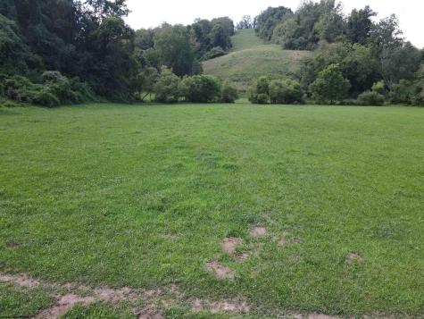 0 Hog Camp Road Jane Lew WV 26378
