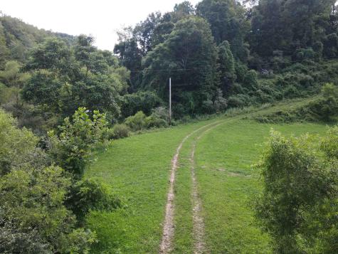 0 Hog Camp Road Jane Lew WV 26378