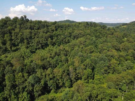 0 Hog Camp Road Jane Lew WV 26378