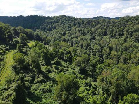 0 Hog Camp Road Jane Lew WV 26378