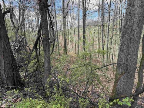 TBD Behlar Road Maidsville WV 26570