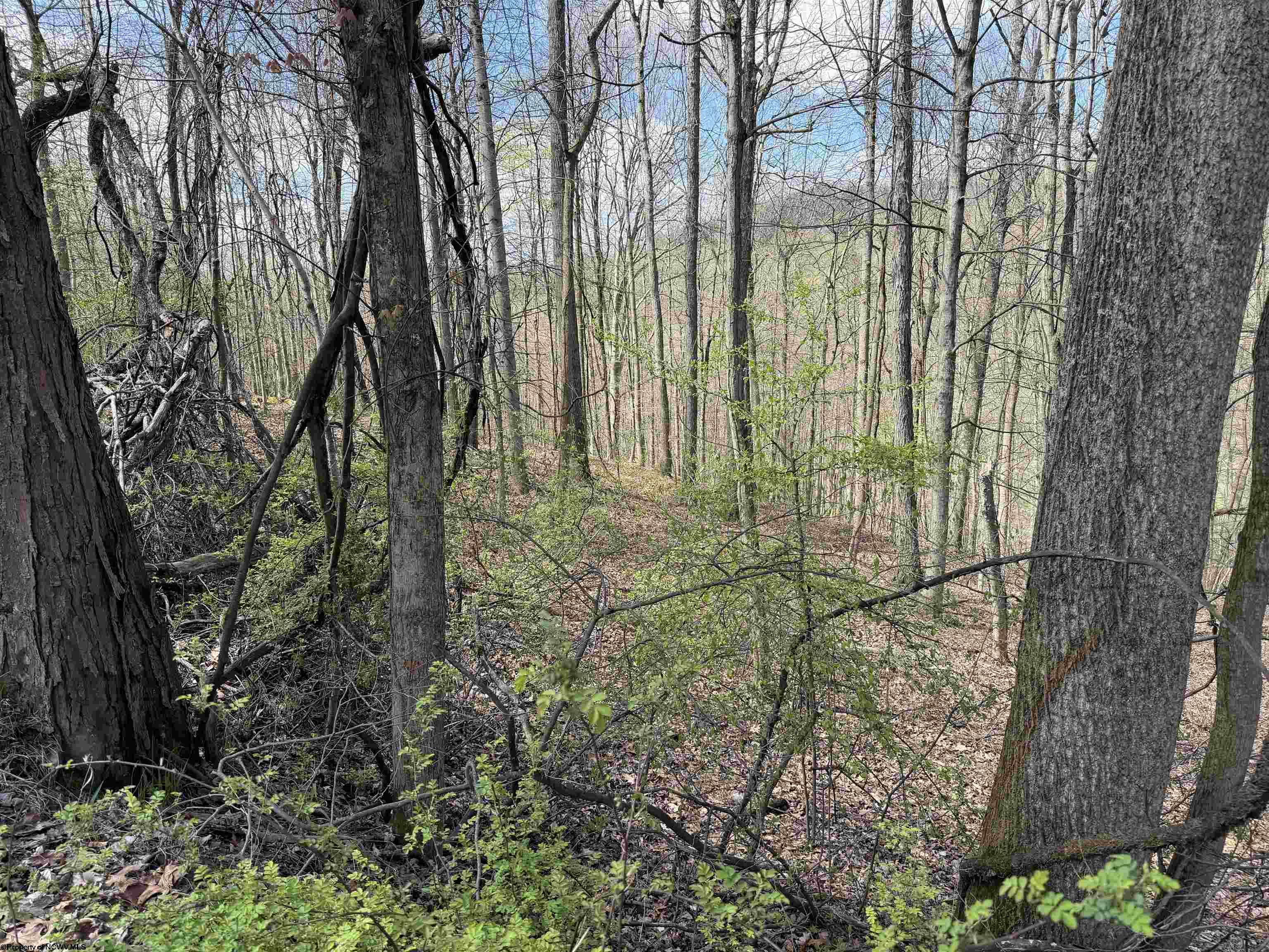0 Behlar Road Maidsville WV 26570