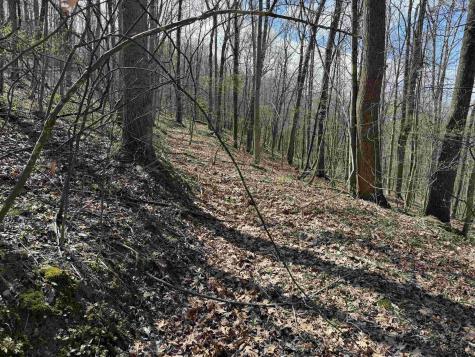 0 Behlar Road Maidsville WV 26570