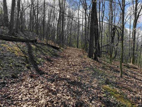 0 Behlar Road Maidsville WV 26570