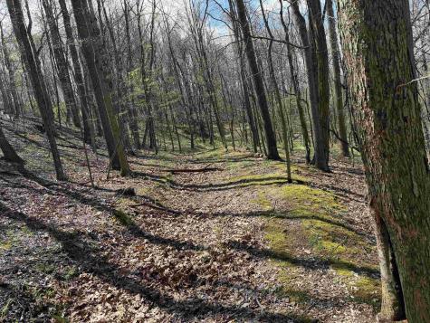 0 Behlar Road Maidsville WV 26570