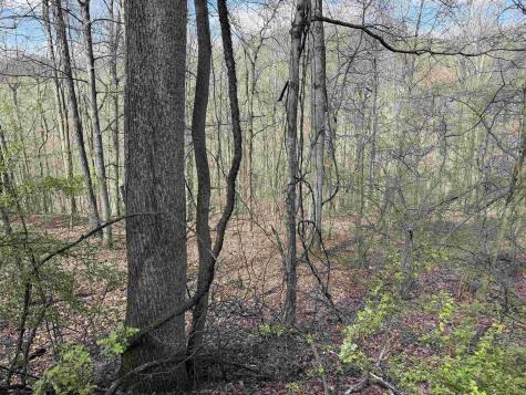 0 Behlar Road Maidsville WV 26570