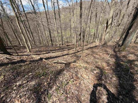 0 Behlar Road Maidsville WV 26570
