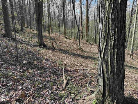 0 Behlar Road Maidsville WV 26570