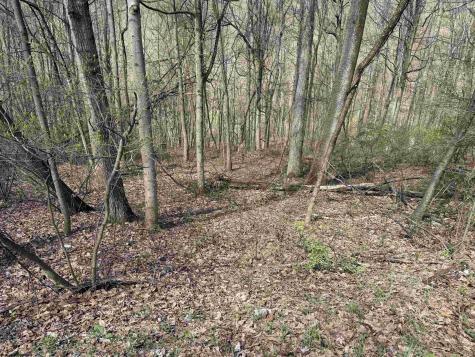 0 Behlar Road Maidsville WV 26570