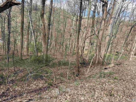 0 Behlar Road Maidsville WV 26570