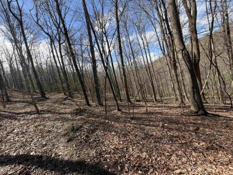 0 Behlar Road Maidsville WV 26570