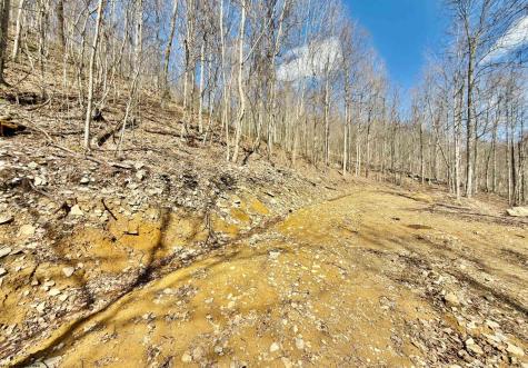Lot 9 Brooklyn Way Moatsville WV 26405