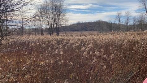 23247 N Preston Highway Bruceton Mills WV 26525