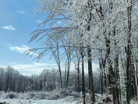 23247 N Preston Highway Bruceton Mills WV 26525