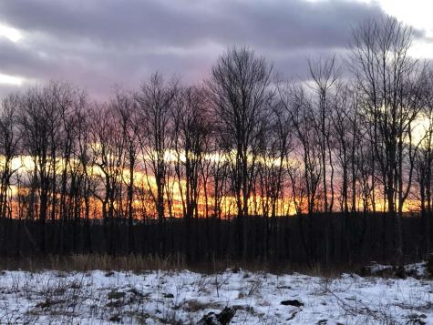 23247 N Preston Highway Bruceton Mills WV 26525