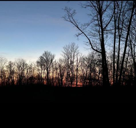 23247 N Preston Highway Bruceton Mills WV 26525